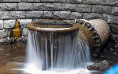 More and More – 2-28-2021