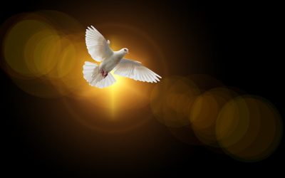 The Ministry of the Holy Spirit – 1-9-2022