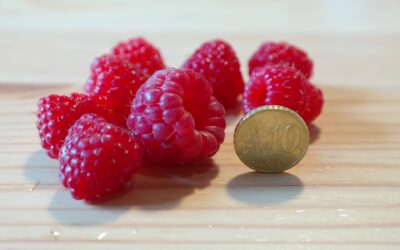 Talents and Fruit 7-2-2023