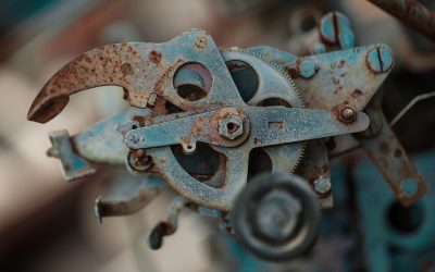 Every Part Doing Their Part 11-10-2024